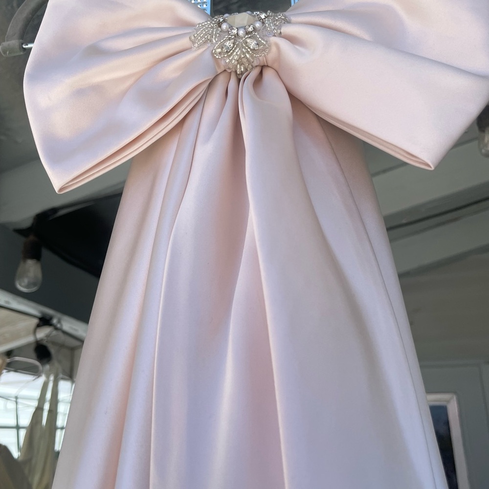 Couture Collection elegant Blush wedding dress - Picture 8 of 15